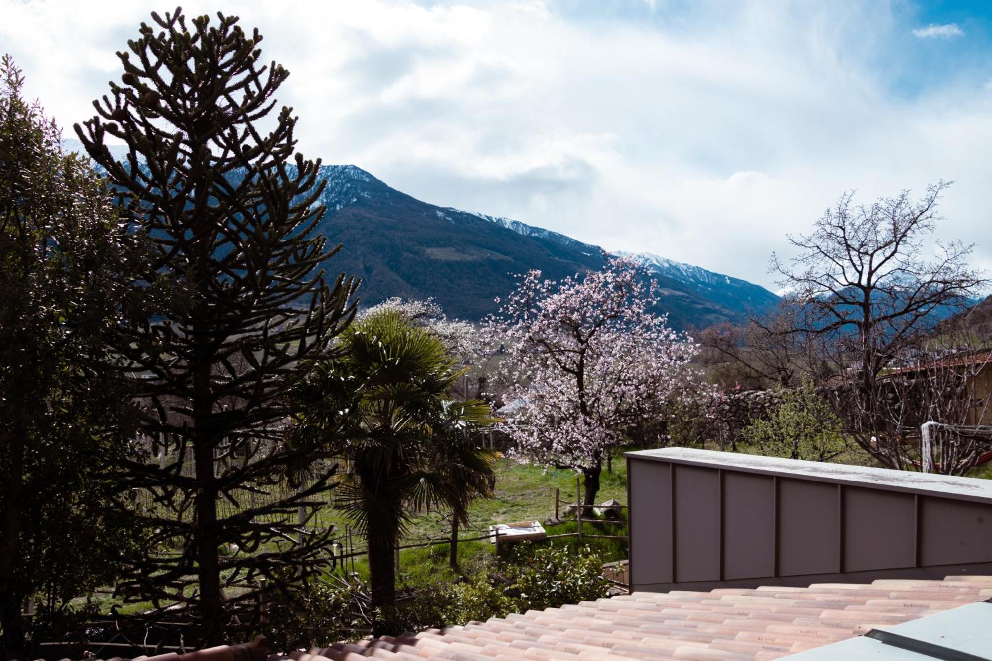Bed and Breakfast Garni Unterwegguetl Натурно Экстерьер фото