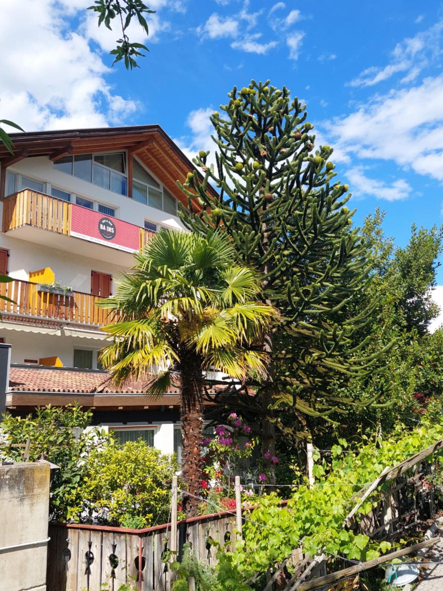 Bed and Breakfast Garni Unterwegguetl Натурно Экстерьер фото